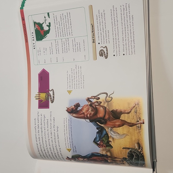 Snakes and Reptiles - Large Hardback Informational Book - Picture 10 of 11